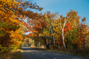 Obraz premium Beautiful autumn landscape with the road and the sun's rays of the setting sun.
