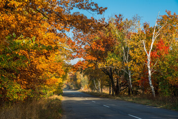 Obraz premium Beautiful autumn landscape with the road and the sun's rays of the setting sun.