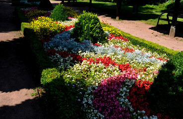 ornamental flowerbed in front of the castle on the ground floor. The planting of annuals is in the shape of a circle with a moon shape. tree roses