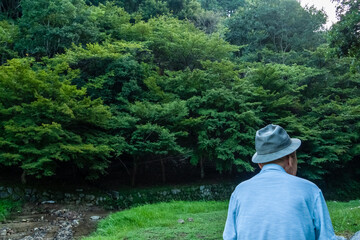 Fototapeta na wymiar 緑の中で座る日本人のシニア男性の後ろ姿