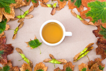 Top view photo of tea cup with yellow autumn leaves