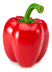 one red sweet bell pepper isolated on white background. clipping path
