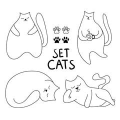 Collection of cute fat cats in various poses. Hand drawn pets with contour lines on a white background. Monochrome vector illustration in doodle style.