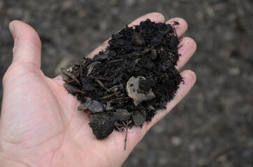 mulch bark from pieces of pine and spruce to prevent weeds from growing and germinating gardener carries it on the back of a delivery van man's hand evaluates the quality of pieces of mulch