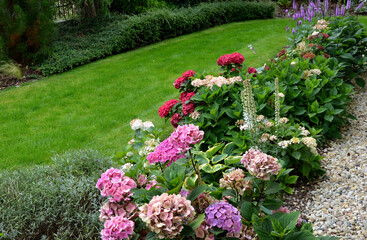 Obraz premium bark, blooming, blossom, bown, brown, container, cotoneaster, curb, flowerbed, garden, gardener, gravel, green, growth, hands, heat, holding, hosta, hydrangea, kobold, lawn, liatris, man, metal, mulch