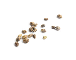 Raw organic hemp seeds on white background