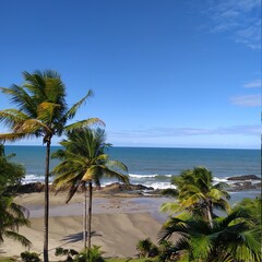 beach with palm trees