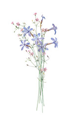 Delicate watercolor bouquet of blue and pink wild flowers on a white background