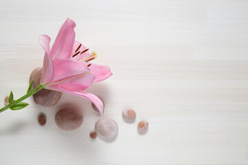 spa pink composition on a wooden background