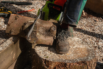 Lumberjack working with a chainsaw