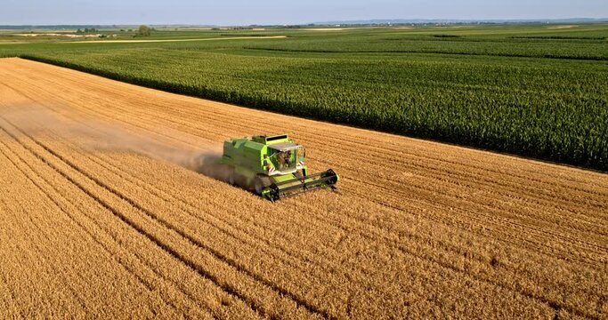 Aerial shot of a farmer in combine harvester harvesting wheat crops