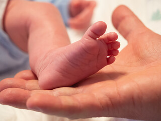 Foot of newborn baby.
