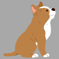 Flat colored adorable and simple Pitbull sitting in side view