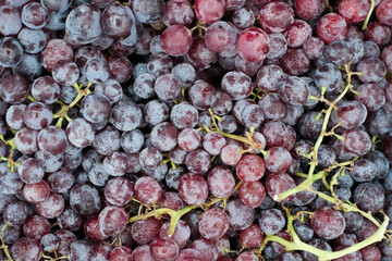 Top view fresh red chilled grapes with water drop, Sweet grape fruit and brach in basket at supper market