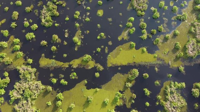 Aerial view look down peatland with flooded water ecosystem