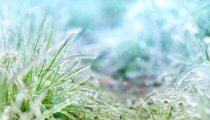 background with blurred and glowing green grass covered with ice