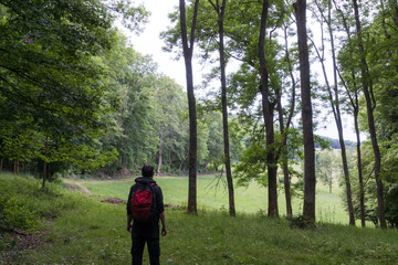 A hiker back to camera, looking at a path going around the edge of a wood. In the English countryside.