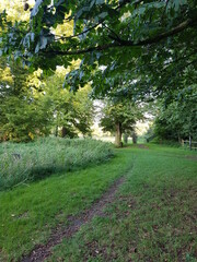 Obraz premium Evening walk, East town park in the evening sun