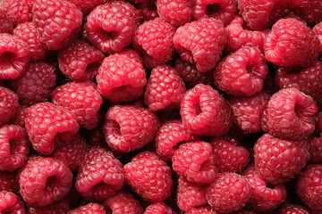 Fresh ripe raspberries, top view. Raspberry berries background.
