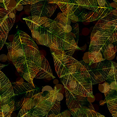 Abstract artistic background with autumn leaves stamps and bokeh light effects on the dark background