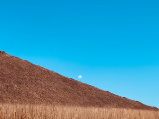 Naklejka premium blue sky and clouds
