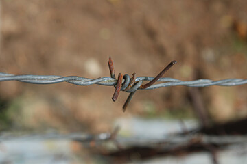 close up of a  wired knot 