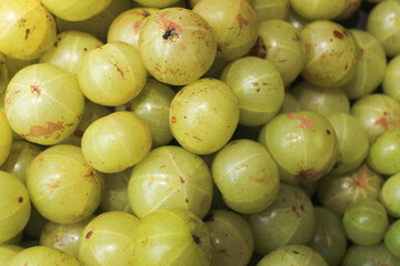close up of green amlas 