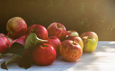 A bunch of juicy, red apples on a white wooden table in the garden outdoors.