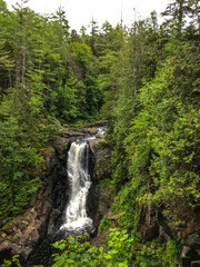 Cascading waterfall in the middle of a forest