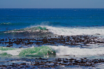 Waves ocean spray surf on rocks along shore coastal line of Cape Region Peninsula with breathtaking...