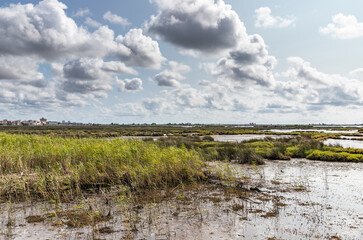 Aveiro lagoon landscape. Passadi&ccedil;os de Aveiro, Ria de Aveiro, Portugal