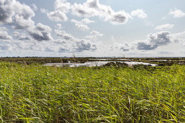 Aveiro lagoon landscape. Passadiços de Aveiro, Ria de Aveiro, Portugal