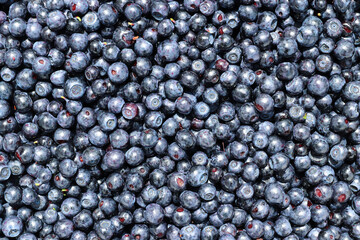 Blueberries - dark blue edible berries