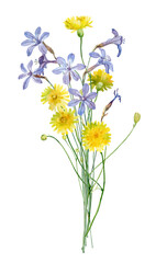 Small bouquet of watercolor blue and yellow flowers on white background