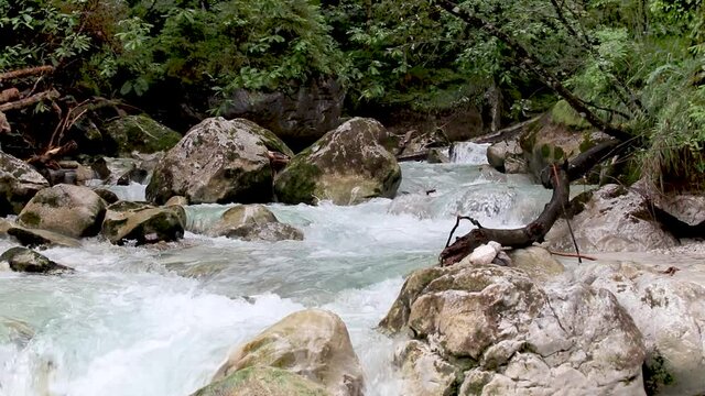 rauschender sommerlicher Gebirgsbach, Ramsauer Ache im Zauberwald, Hintersee