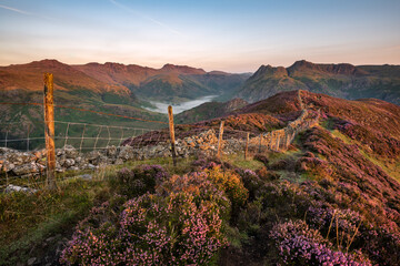 Colourful blooms of heather on mountains at sunrise with mountain peaks in background, Lake...
