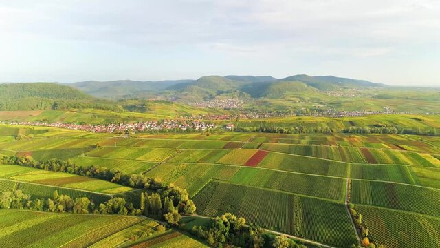 Droneshot of Green Fields and Mountains in the countryside