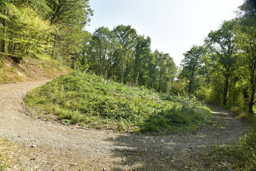 Fototapeta na wymiar Sentier rocailleux et raide traversant forêts et clairières pour accéder au sommet de la colline à Profondeville en Haute Belgique 