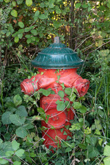 fire hydrant in the country