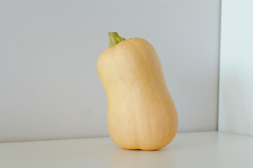 Calabaza de la cosecha de otoño