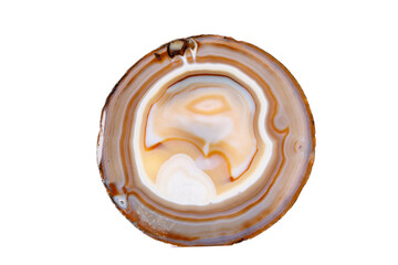 Macro mineral stone Yellow, brown Agate breed a white background close up