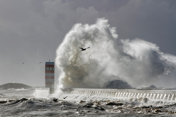 Big wave splash