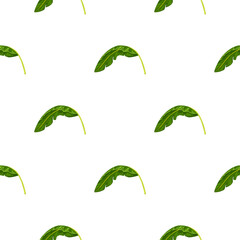 Banana leaf seamless pattern. Tropical background.