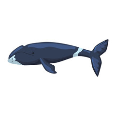 Bowhead whale isolated on white background. Cartoon character of ocean for children.