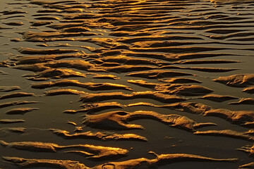 wet sand ripples with golden evening sunlight reflection