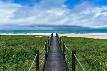 Obraz premium Walking to the beach