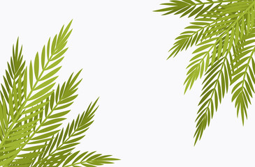 Naklejka na ściany i meble Palm tree corner background, copyspace for tropical themed decor. Green tropical leaves, jungle hawaiian branches, plant and greenery flora decorative elements for island party. Vector illustration