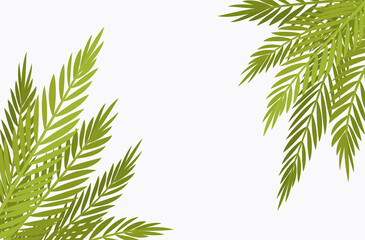 Fototapeta premium Palm tree corner background, copyspace for tropical themed decor. Green tropical leaves, jungle hawaiian branches, plant and greenery flora decorative elements for island party. Vector illustration
