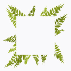 Palm tree square background, copyspace for tropical themed card decor. Green tropical leaves, jungle hawaiian branches, plant greenery flora decorative elements for island party. Vector illustration