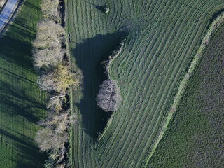 DCIM\100MEDIA\DJI_0066.JPG